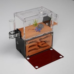 Rimsunta Ant Farm Ant Farm Ant Farm Adult Study Ant Behavior Ant Nest Ant Terrarium Educational Formicarium for Live Ants and Queen Two Floors