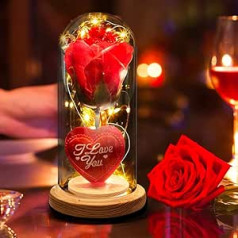 Gesar Rosa Eterna - Valentine's Day Gift - Enchanted Rose with Glass - Mother's Day Gift - Red Glass Rose - Eternal Rose the Beauty and the Beast