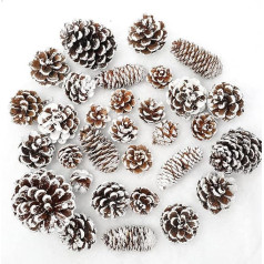 Whaline Pine Cones, 43 Pieces Natural Snow Pine Cones Assortment of Pine Cones for Crafts Gift Christmas Tree Holiday Home Decoration Party Centerpiece 4 Styles