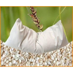 Organic Millet Cushion 40 x 40 cm with Lining Made from 100% Organic Cotton