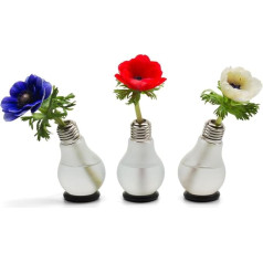 corpus delicti :: Set of 3 Light Bulbs - Light Bulb Vase - The Original - Single Flower Vase - Solifleur (3)