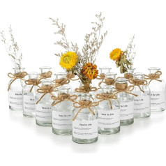 Glasseam Mini Vases Glass Decoration Set 16 Pieces Small Blomus Vase Bottle for Wedding Table Decoration Transparent Vintage Flower Vase Round Glass Vase Bottle Vase for Bathroom Living Room Pampas