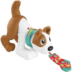 Fisher-Price HGY00 - Bello the Crawling Dog - German Edition, Electronic Crawling Toy with Music and Learning Content, Baby Toy for Babies and Toddlers from 6 Months