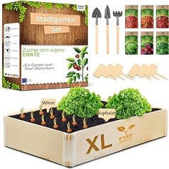 Indoor Herb Garden Gift XL PYEF CRAFTS - Vegetable Growing Set Plants Complete Set - Mini Garden Propagation Set & Seeds Vegetables - Plants Garden Growing Set (XL)