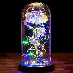 Beauty and the Beast Rose Kit Gifts for Women Eternal Rose in Glass with LED Light in Glass Dome Galaxy Rose Gifts for Mum Wife Grandma Women's Day Birthday Mother's Day Anniversary