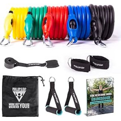 Pullup & DIP Resistance Bands Set, Fitness Bands, Resistance Bands with Handles, Door Anchor, Foot Loops with Carry Bag (11 Pieces), Tube Bands, Expander Tubes, Fitness Band, Resistance Band
