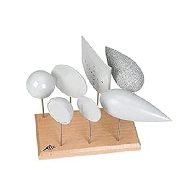 3B Scientific Physik Lehrmittel - Widerstands- und Auftriebskörperset - für Aerodynamikuntersuchungen
