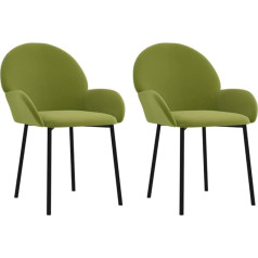 Vidaxl Dining Room Chairs with Armrests, Dining Chair Kitchen Chair Metal / Plywood Frame Chair Armchair for Dining Room Kitchen Light Green Velvet Pack of 2