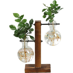 Ysoom Glass Vase Flora Desktop Glass Planter Vase, Glass Vase Various Sizes with Retro Solid Wooden Stand Hydroponics Plants Home Garden Wedding Decor