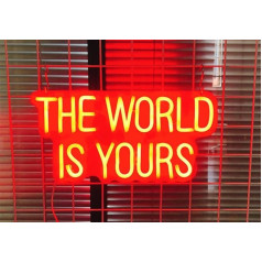 USB Powered Acrylic Light for Everyday Motivational Words Wall Decor Bedroom Living Room Bar Playroom Prom Wedding (38cm*22cm)