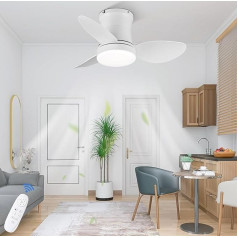 AUTODAY Quiet Ceiling Fan with Lighting Remote Control with Memory Function Diameter 62 cm Mini Dimmable Ceiling Fan with Light DC Motor 3 Reversible Blades 6 Speeds 1/3/6H Timer
