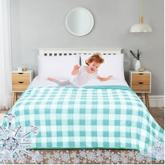 Cooling Blanket for Night Sweats Bamboo Summer Large Bed Blanket Mint Green Buffalo Plaid Silky Soft Cool Japanese Arc-Chill Q-MAX>0.5 Double Sided Picnic Absorbs Heat Soft 200×220