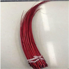 10 pieces/lot 40-50 cm ostrich feather hard rod headwear accessories quill spines for DIY millinery-red
