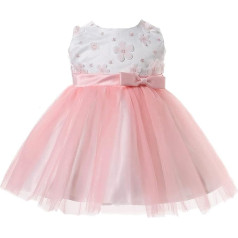 Cinda Baby Girl Embroidered Floral Party Dress