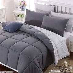 QZY Quilted Duvet Cover Anti-Allergic for Allergy Sufferers 100% Microfiber Seasons Autumn and Winter Double Face Blue/Grey and Grey/Smoke