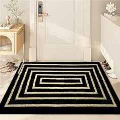 Artanchao Outdoor Doormat, Carpet Dirt Trapper Mat, Door Mat for Entrance, Front Door, Patio, Hallway, Garden (1#, 80 x 120 cm)