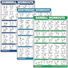 QuickFit Dumbbell Training + Body Weight Exercises + Barbell Routine Poster Set - Set of 3 Workout Charts.