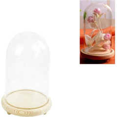 Warmiehomy Decorative Glass Dome with Wooden Base