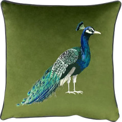 Evans Lichfield Peacock Square Velvet Piped Pushion Cover