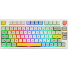 EPOMAKER TH80 Pro Mechanical Gaming Keyboard 2.4GHz Bluetooth 75% Hotswap with RGB PBT Keycaps for WIN/MAC/PS4/PS5/Xbox (Theory, Wisteria Linear)