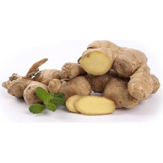 Quast Meerrettich 2nd Grade Fresh Ginger | Ideal for Tea or Horse Food | Small Roots (< 50g)