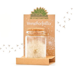 Die Stadtgärtner 10 x Wish Fillers I Real Dandelion in Glass I Forever Durable I Perfect Gift Idea for Any Occasion I Gift for Birthday, Wedding, Mother's Day, Easter etc.