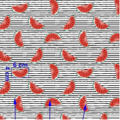 200 x 160 cm Fruit Fruits Citrus Fruit 100% Cotton Fabric Children Sold by the Metre Craft Sewing Fabric (Melon Black Stripes, 200 x 160 cm