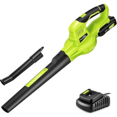 SnapFresh Leaf Blower Cordless Leaf Blower 20 V 210 km/h 240 m³/h / 2 Air Speed / with Battery and Charger / Lightweight Compact 1.2 kg for Garden Yard Lawn Care (Green)