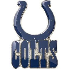aminco NFL Logo Pin