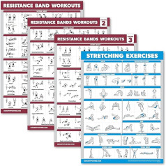 Palace Learning Resistance Bands, Workout Poster Band 1, 2 & 3 + Stretch Exercise Chart (Laminated, 18