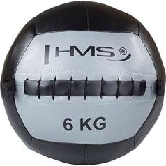 HMS Unisex's 17-41-026 5907695518283 Exercise Wall Ball, Grey, One Size