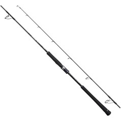 Rod 20 Game Type Jigging Spin