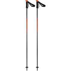 HEAD Unisex Adult Multi S Ski Pole