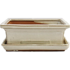 Exotenherz - Bonsai Bowl with Saucer Size 3 - Light Beige - Square - Model G29 - L 18 cm - W 13 cm - H 6 cm
