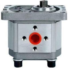 Hydraulic Gear Pump Runding Hydraulische Zahnradpumpe CBN/CBT/CBW304 306 310 314 316 320 325 Kleine Hochdruck-Ölpumpe(CBT-CBN-F310(20MPA),Form-01)