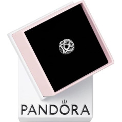 Pandora Passions Sterling Silver Eternity Necklace