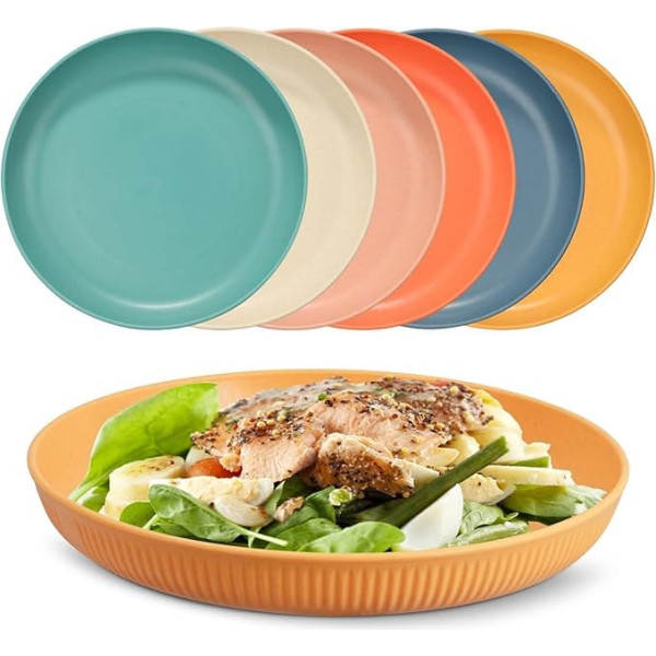 Unbreakable Dinner Plates Set of 6 Plastic Plates 9