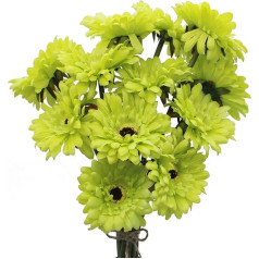 HASWITDA Pack of 12 Artificial Gerbera Flower Single Stem Flower Bouquet Plastic Silk Fake Decorative Flora Outdoor Indoor Home Garden Office Hotel Wedding Party Green