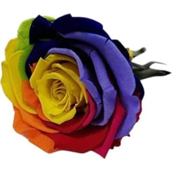 Genérico Eternal Rose, Rainbow, Eternal Rose, Multicolor, Rainbow Rose, Multicolor, Original Gift