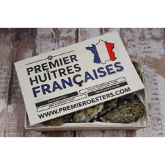 Fresh French Oysters Pack of 25 Oysters from France Fresh 2 Dozen