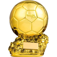 SWAYVES Fußball Die Golden Globe Mvp Meisterschaft Trophäee Individuelle Auszeichnung Fußball Liga Trophäe Fan Sammlerstücke Möbel Souvenirs/16Cm