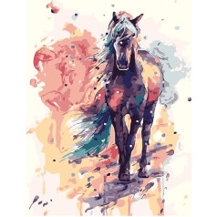Wataka DIY Painting by Numbers for Adults and Children, Pre-Printed Canvas Oil Painting Kits, Home Decor, 40.6 x 50.8 cm, Black Horse