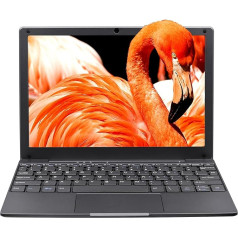 LONGEVINCE 10.1 Inch Mini Laptop for School and Work, Lightweight and Portable, Celeron N4020, 8GB RAM, 960GB SSD, Laptop with Windows 11 Pro, Type-C (960G)