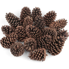 Pack of 18 Natural Dried Pine Cones Natural Pine Cones for Crafts Large Pine Cones for Christmas Decoration Advent Wreath Decoration Christmas Tree DIY Crafts Winter Decoration
