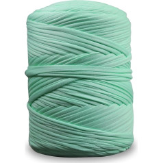 NOTIONSLAND 400g T-Shirt Yarn Knitting Yarn Fabric Crochet Yarn for Bags Baskets Blankets Home Decor - Mint Green Plain Yarns