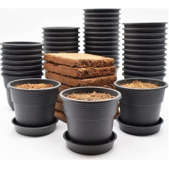 Pack of 100 Propagation Pots with Coconut Soil Plant Pot Diameter 8 cm Diameter with Saucer Made of Robust Plastic and Weather-Resistant Material, Round Seed Pots