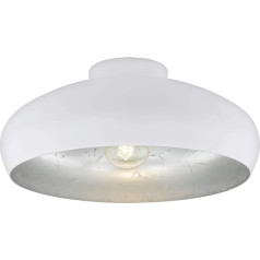 Eglo 94548 Interior Light, Silver