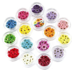 BEAHING Getrocknete Blüten Nagelkunstscheiben Mini Natural Blumen Sternformen Nagelaufkleber Harzzubehör für Nageldekoration DIY Craft 16pcs Nagelkunstscheiben