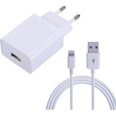 ZLONXUN Charger 12 W USB Power Supply and Charging Cable Compatible with iPad Air 3/2/1, Mini 5/4/3/2, iPad Pro (9.7 inch/10.5 inch), 12.9 Inch (1st Gen/2nd Gen)