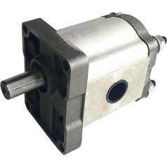 ZAJYZZF Industrielle Zahnradpumpe Zahnradpumpe Hydraulikölpumpe CBN-F310 F314 F306 F320 F325 F316 F325(Cbnf322)